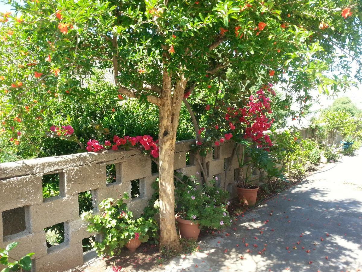 Pizania Apartment Kalymnos Town Exterior photo